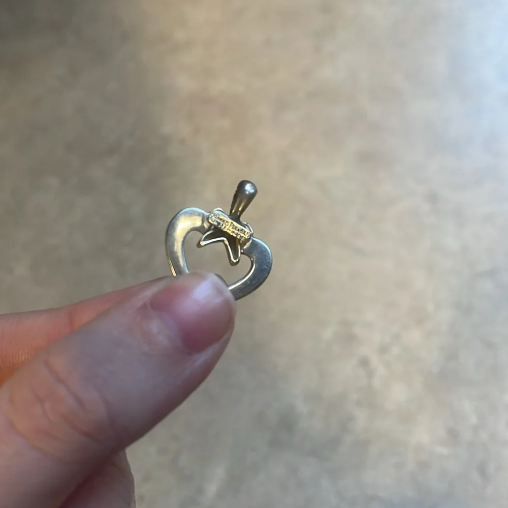 Precious Precious 925 14k Heart Pendant